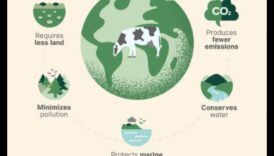 Πράσινη πρόσληψη Οι περιβαλλοντικές επίδραση της χορτοφαγικής δίαιτας 1 Οι περιβαλλοντικές επιπτώσεις ενός χορτοφαγικού τρόπου ζωής