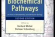 The Biochemical Blueprint: Navigating Nutrition's Molecular Pathways