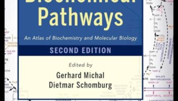 The Biochemical Blueprint: Navigating Nutrition's Molecular Pathways