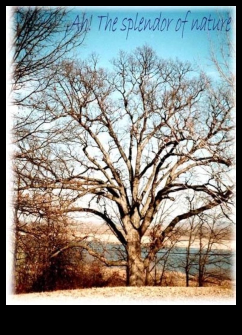 Το μεγαλείο της φύσης 1 Majestic Earthly Scenes: A Visual Exploration of Beautiful Landscapes