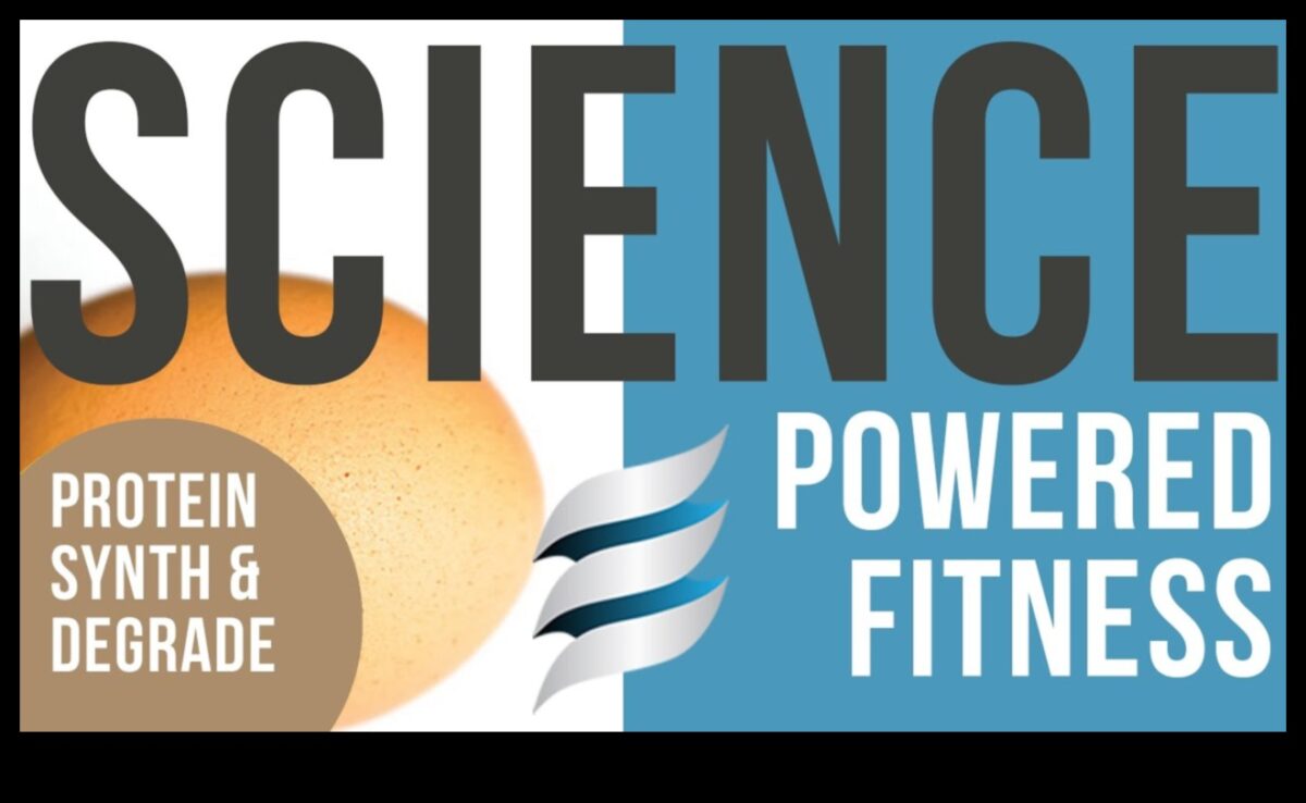 The Protein Puzzle: Unlocking Muscle Growth in Sports Nutrition