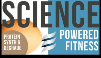 The Protein Puzzle: Unlocking Muscle Growth in Sports Nutrition